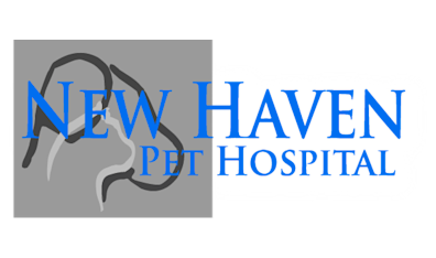 New haven pet deals clinic